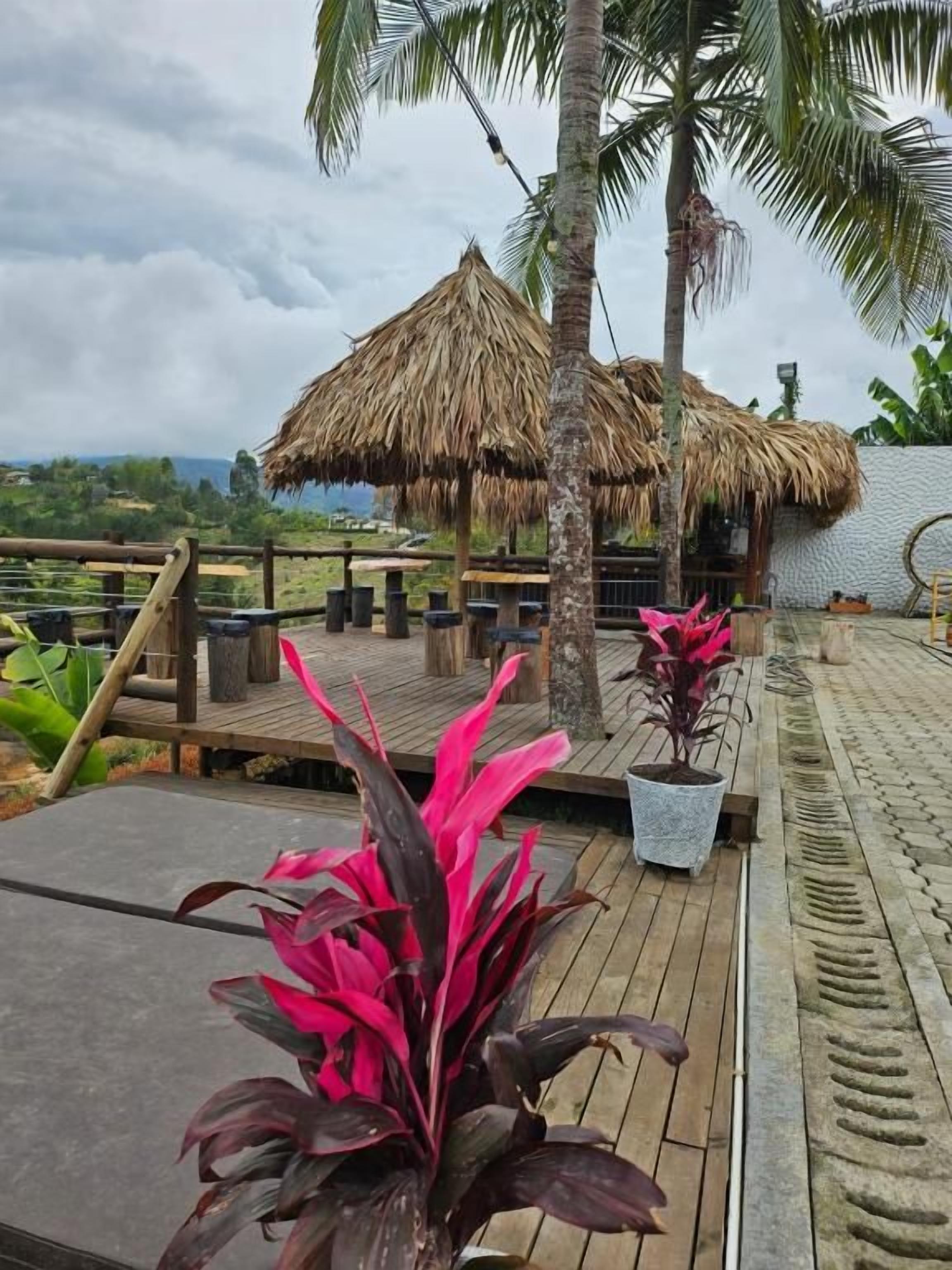 Una terraza de madera con una estructura de techo de paja, plantas en macetas y vistas del paisaje.