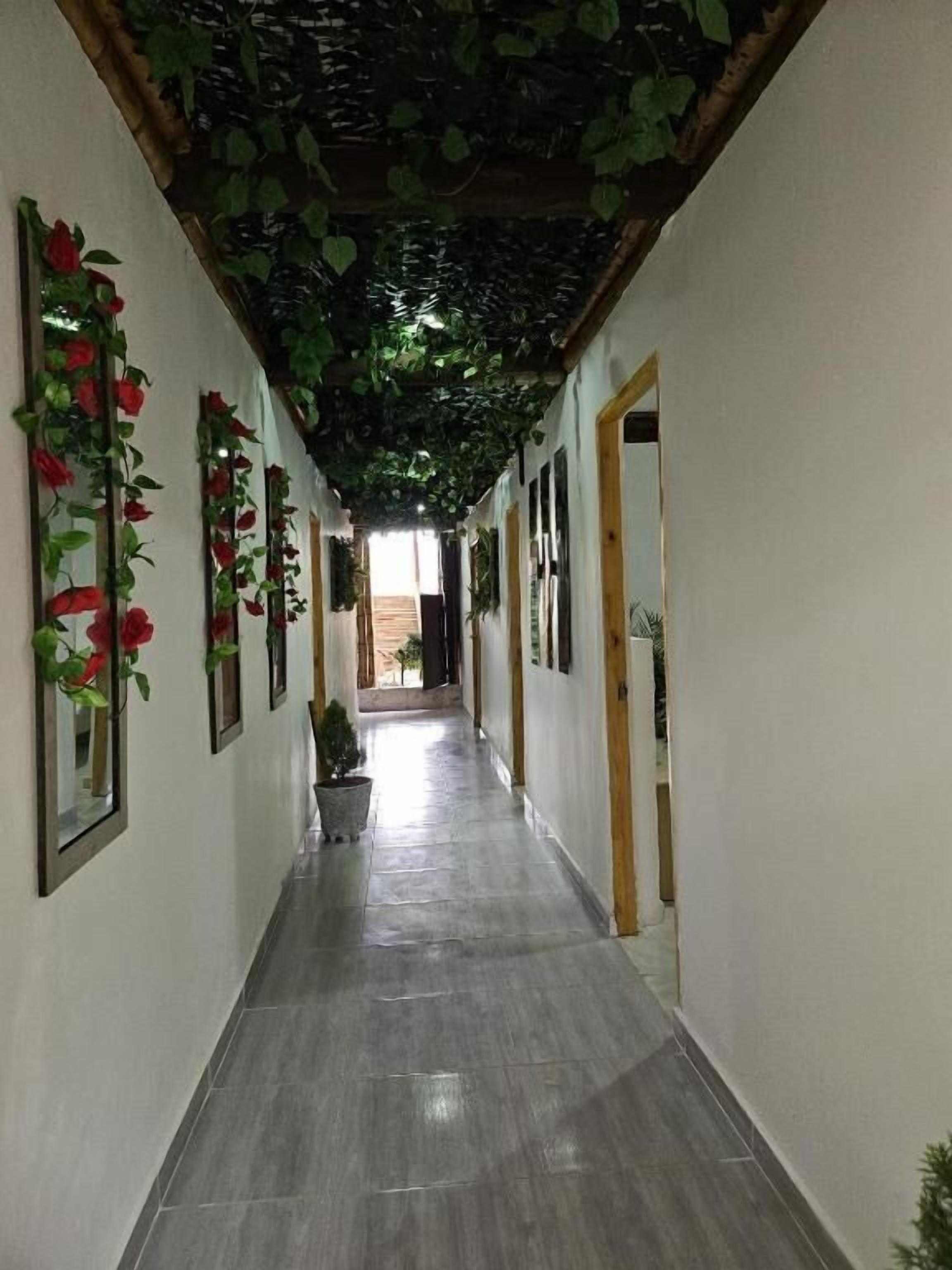 Un pasillo con piso de baldosas, cuadros en las paredes y una planta en maceta en el centro.