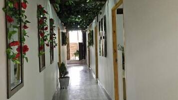 Un pasillo con piso de baldosas, cuadros en las paredes y una planta en maceta en el centro.