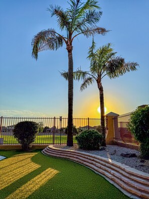 Stroll through a tranquil garden surrounded by tall palm trees and a pathway.