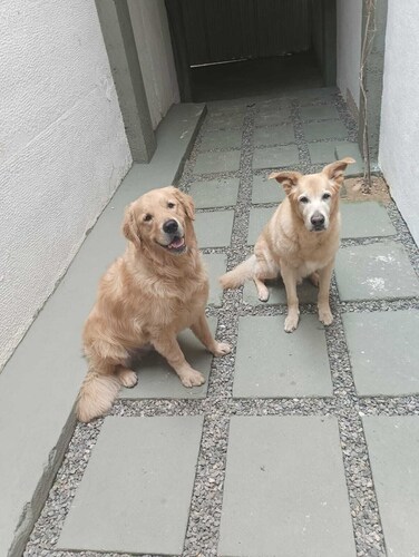 Casa de Bairro Para Descansar