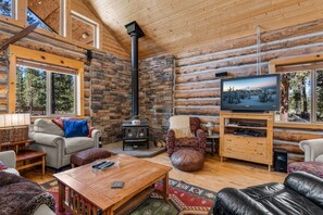 Smart TV, fireplace, DVD player, video library