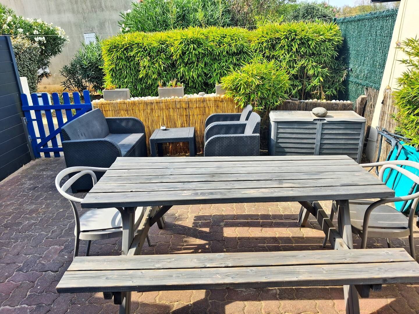 An outdoor patio area with a wooden table and chairs, a blue fence, and various plants.
