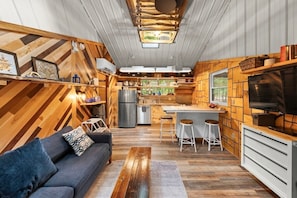 TV, fireplace, DVD player, books
