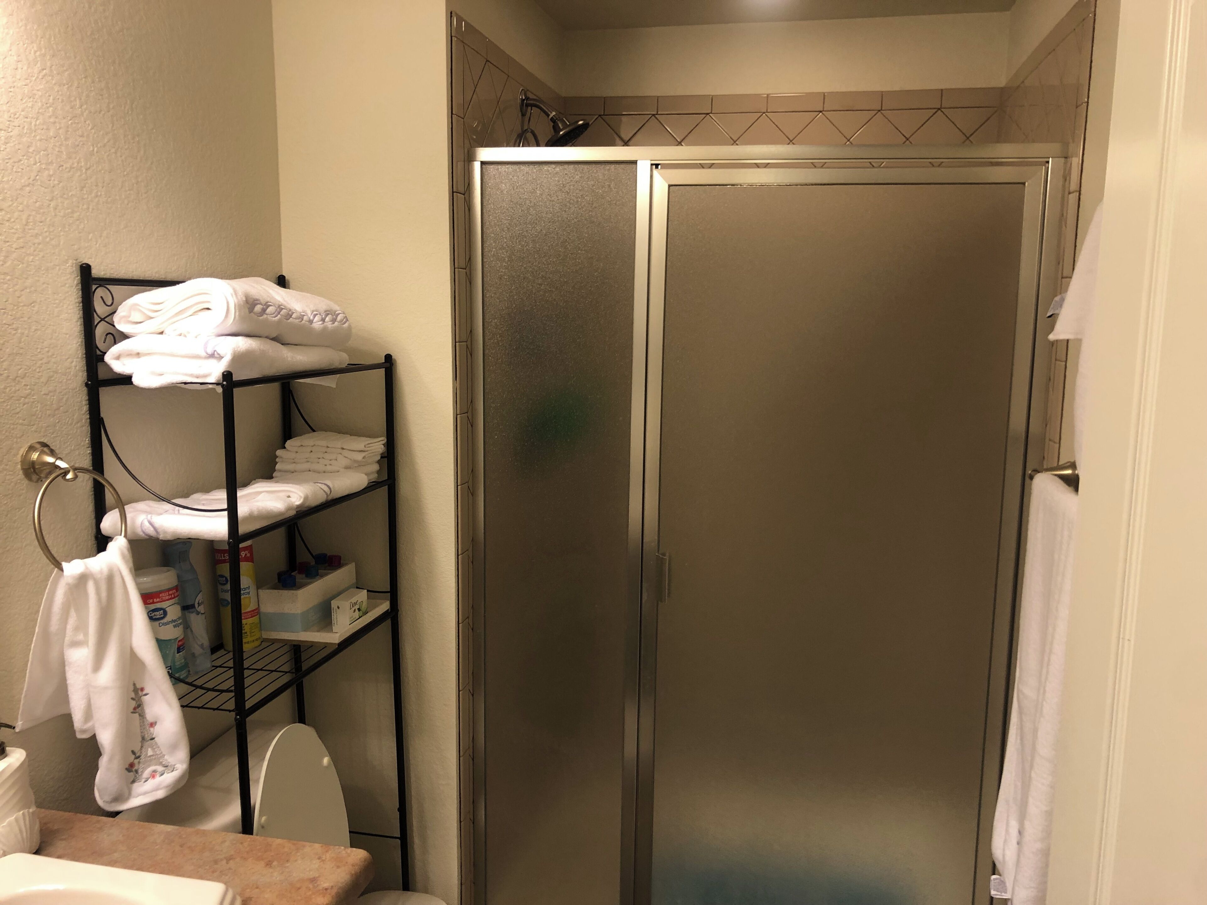 Hair dryer, towels, soap, shampoo