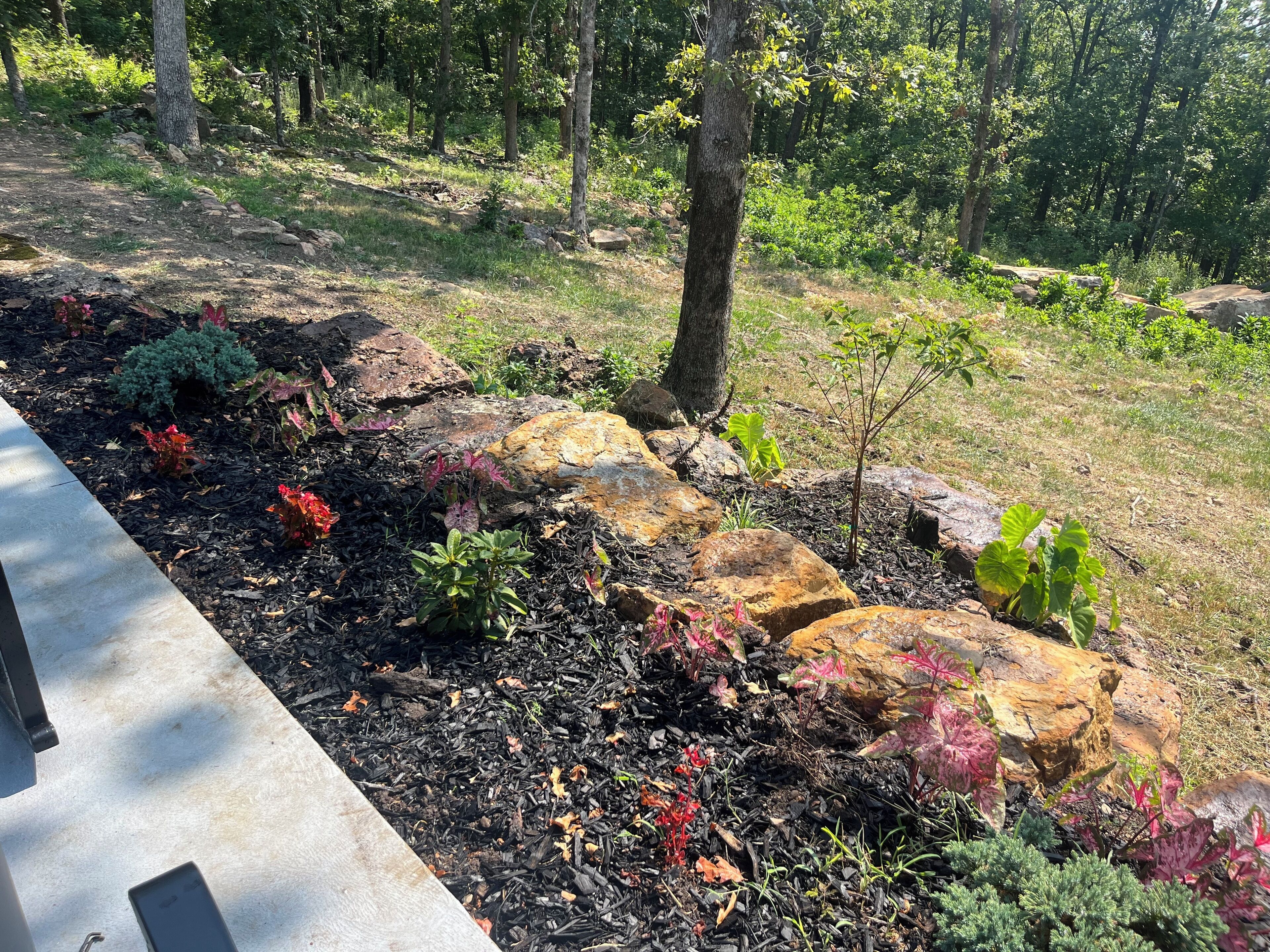A garden with rocks, mulch, and various plants.