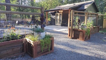Jardines del alojamiento