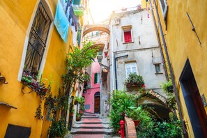 Stroll through this charming alleyway lined with lush greenery and historic architecture.