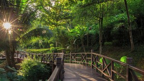 A wooden bridge in a lush, green forested area with sunlight filtering through the trees. - The Luang Say Lodge (Pakbeng)