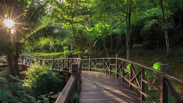 Vista al jardín