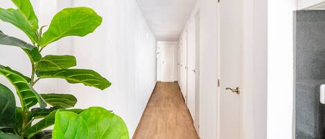 A hallway with white walls, wooden flooring, and a potted plant.