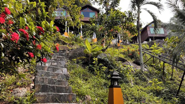 A stone staircase leading up to a wooden house surrounded by lush greenery and red flowers.