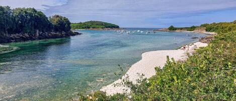 Plage Ă proximitĂ©, pĂȘche sur place