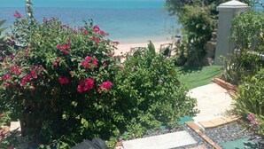 A garden with a view of the beach and mountains.