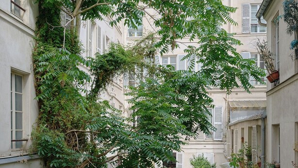 Un estrecho callejón adoquinado flanqueado por edificios con contraventanas y macetas.