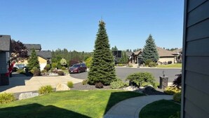 A residential driveway with a lawn, a pathway, and a tall evergreen tree. - Gorgeous Executive Home - Hot Tub, Gym, Theatre, and More! (Spokane)