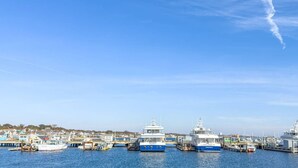 Un puerto deportivo con varias embarcaciones amarradas, cielo despejado y un pueblo al fondo.