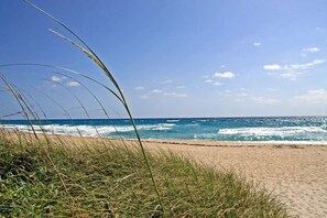 Plage à proximité, serviettes de plage, kayak, pêche sur place