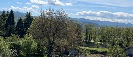 Zimmer, 2 Schlafzimmer, Balkon, Gartenblick | Aussenbereich