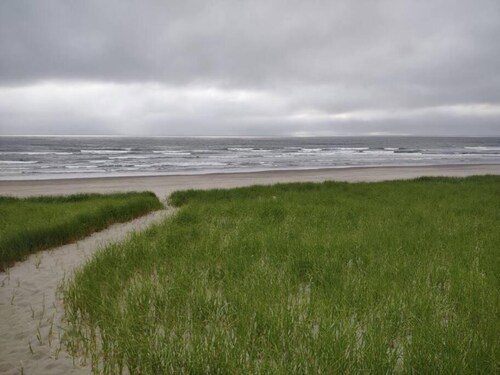 Newly remodeled stylish apartment with king bed, close to downtown, river, shops