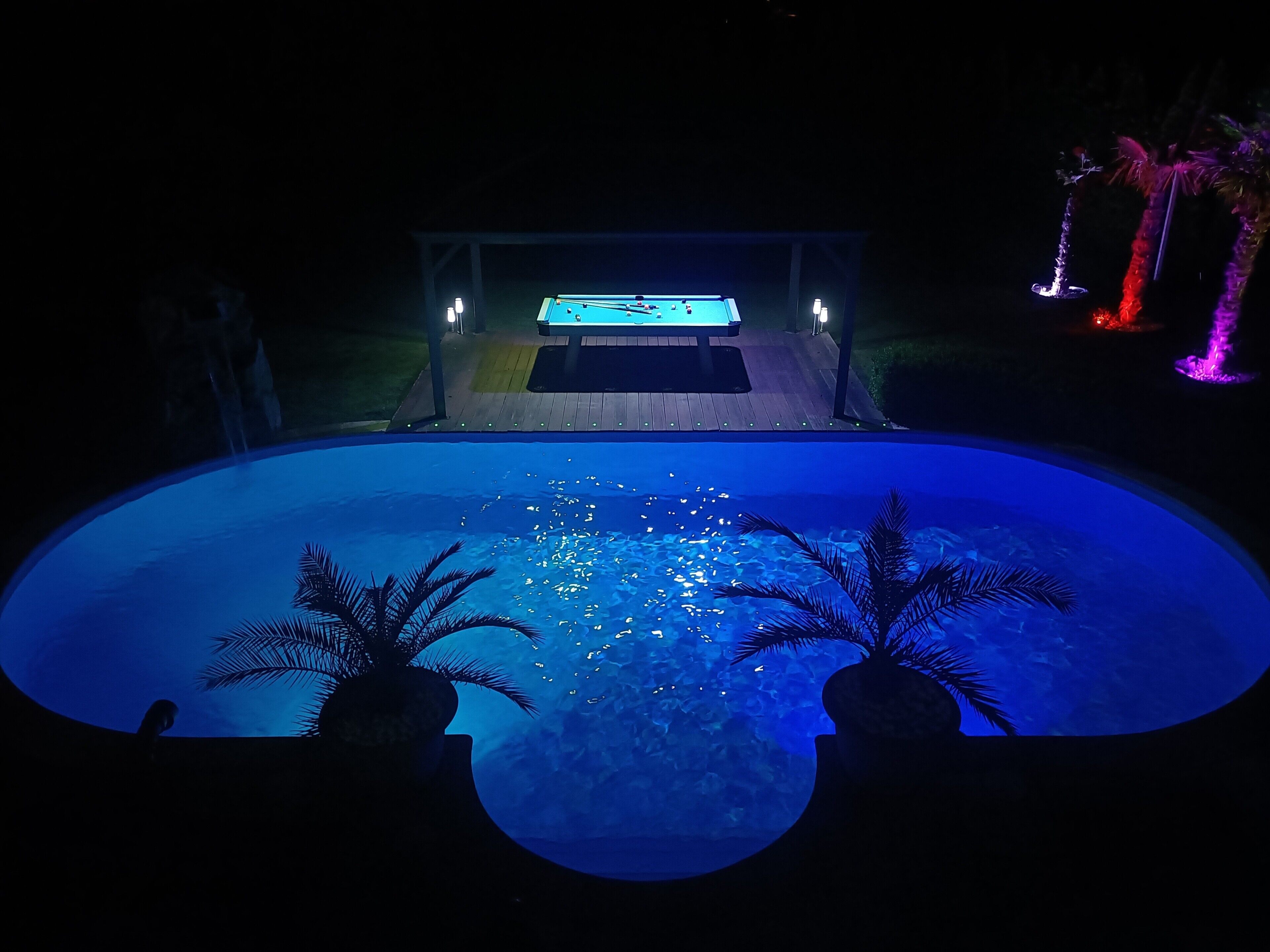 Una piscina amb un banyera d'hidromassatge i una zona de solàrium, envoltada de palmeres.