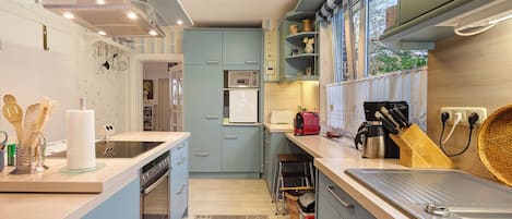 Frigorífico, microondas, horno y placa de cocina