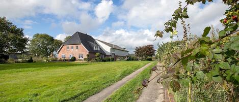 Ein Haus mit geneigtem Dach, einem gepflasterten Weg und einem Rasen.