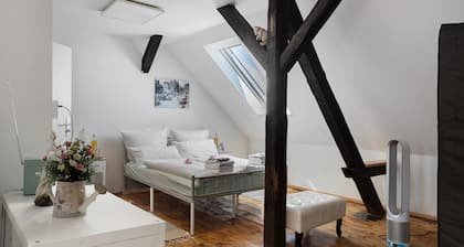 Einzimmerapartment 'Birgit' mit gemeinsamer Terrasse, Wi-Fi und Klimaanlage
