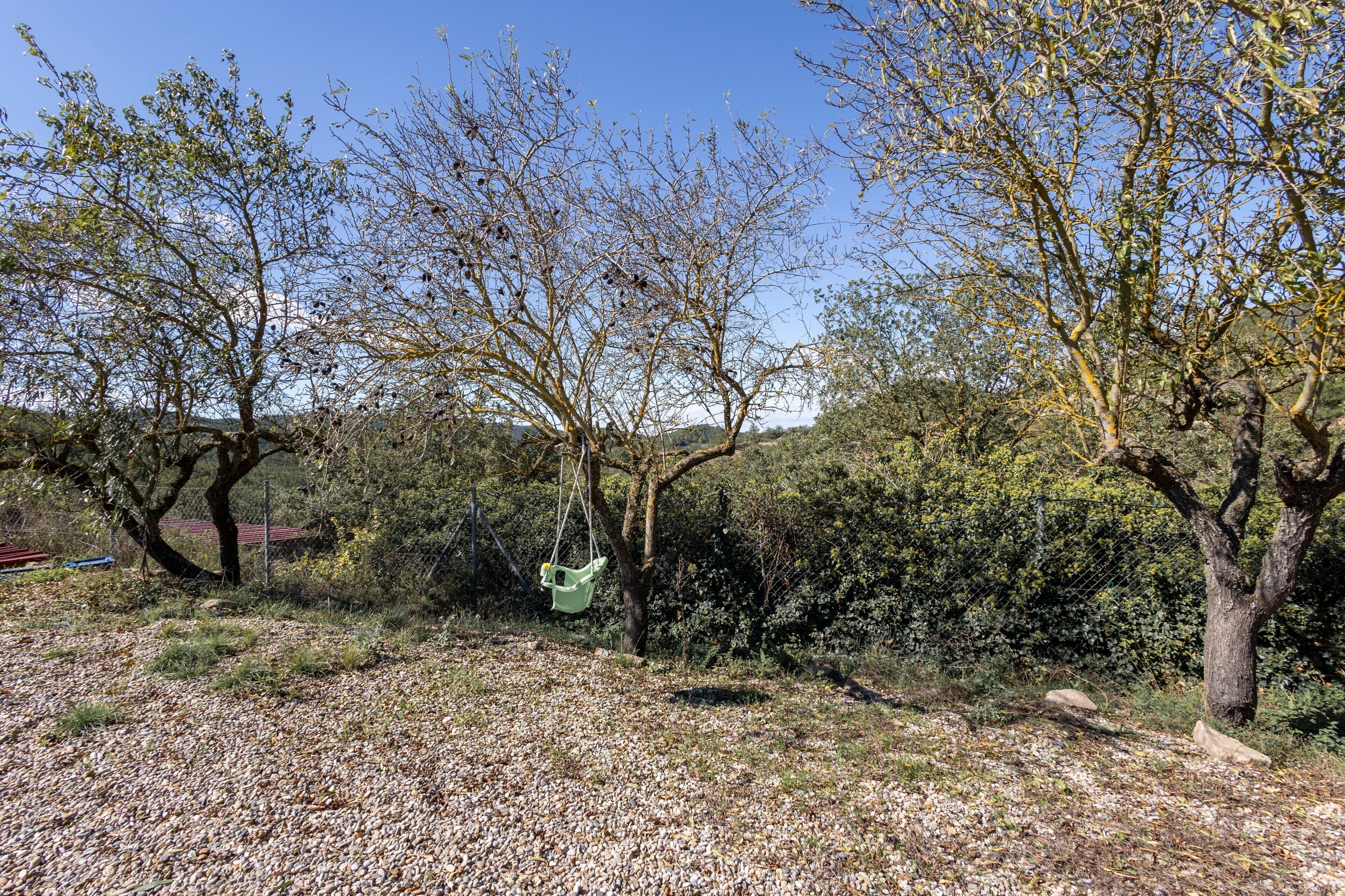 A natural outdoor area with trees, a swing, and a gravel ground.