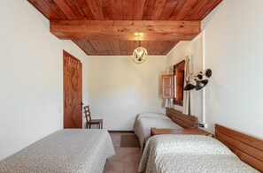 Una habitación con dos camas individuales, techo de madera, lámpara colgante, puerta con perchero y espejo con lámpara.