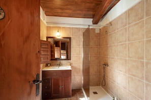Shower, hair dryer