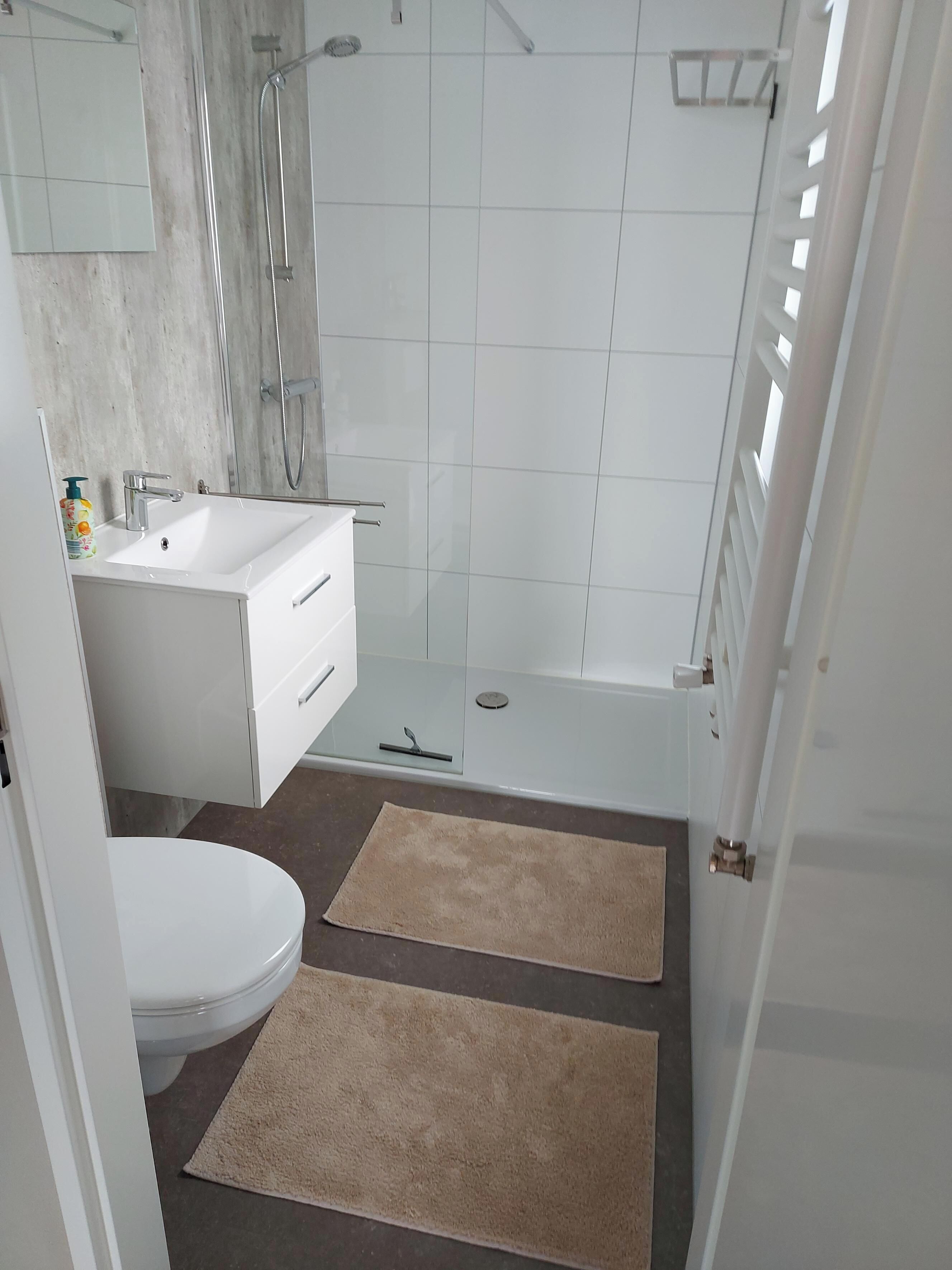 Shower, hair dryer, toilet paper