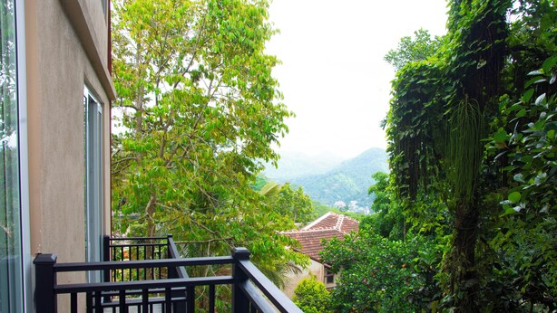 A balcony with a view of a lush garden and a distant building with a tiled roof. - Peaceful Peak (Kandy)