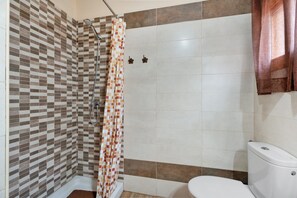 Ducha, secador de pelo y toallas