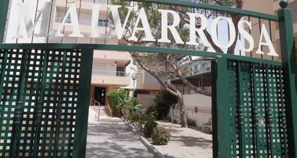 MALVARROSA, 1º-6