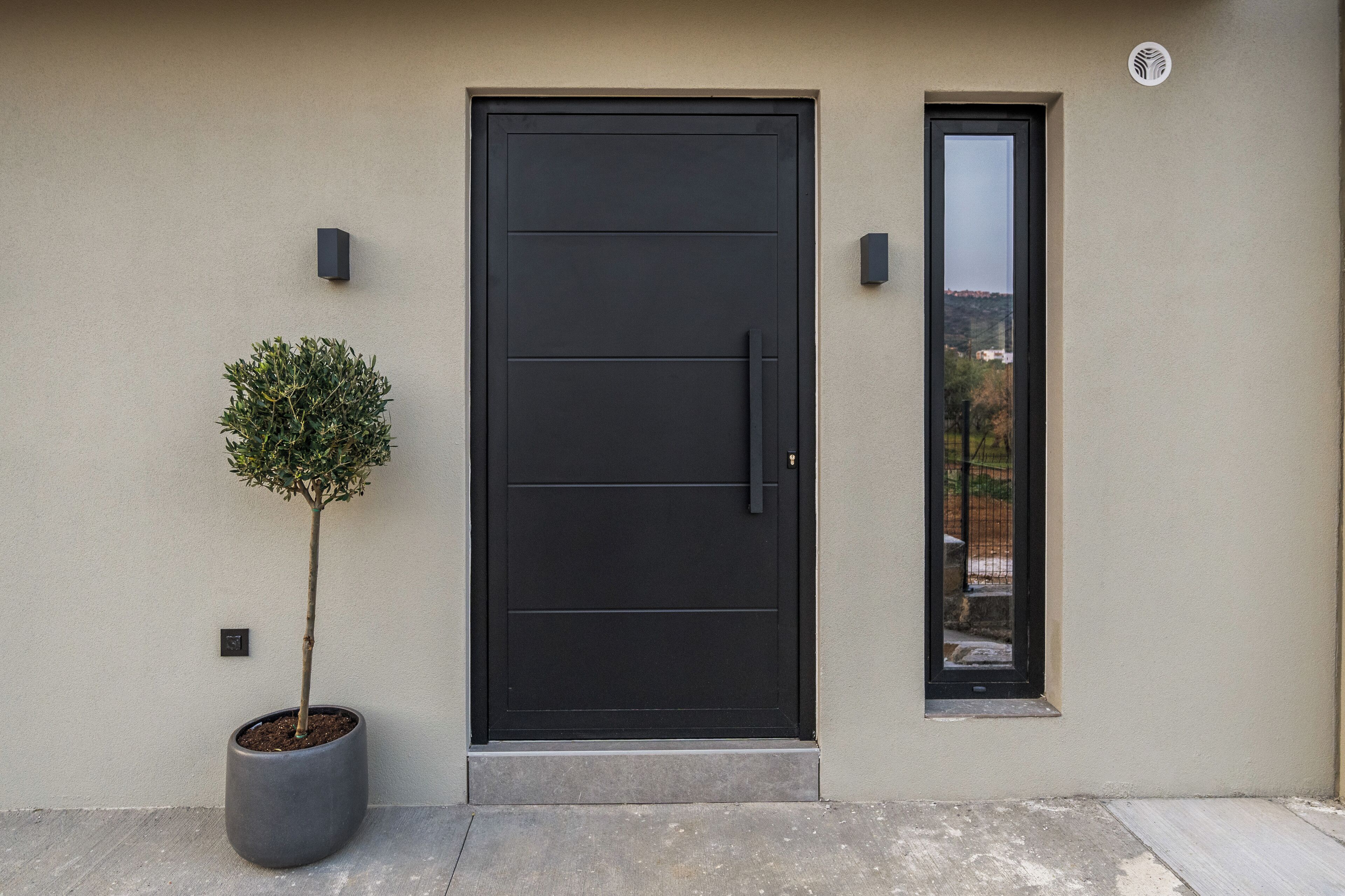 A modern black door with a small potted tree beside it.