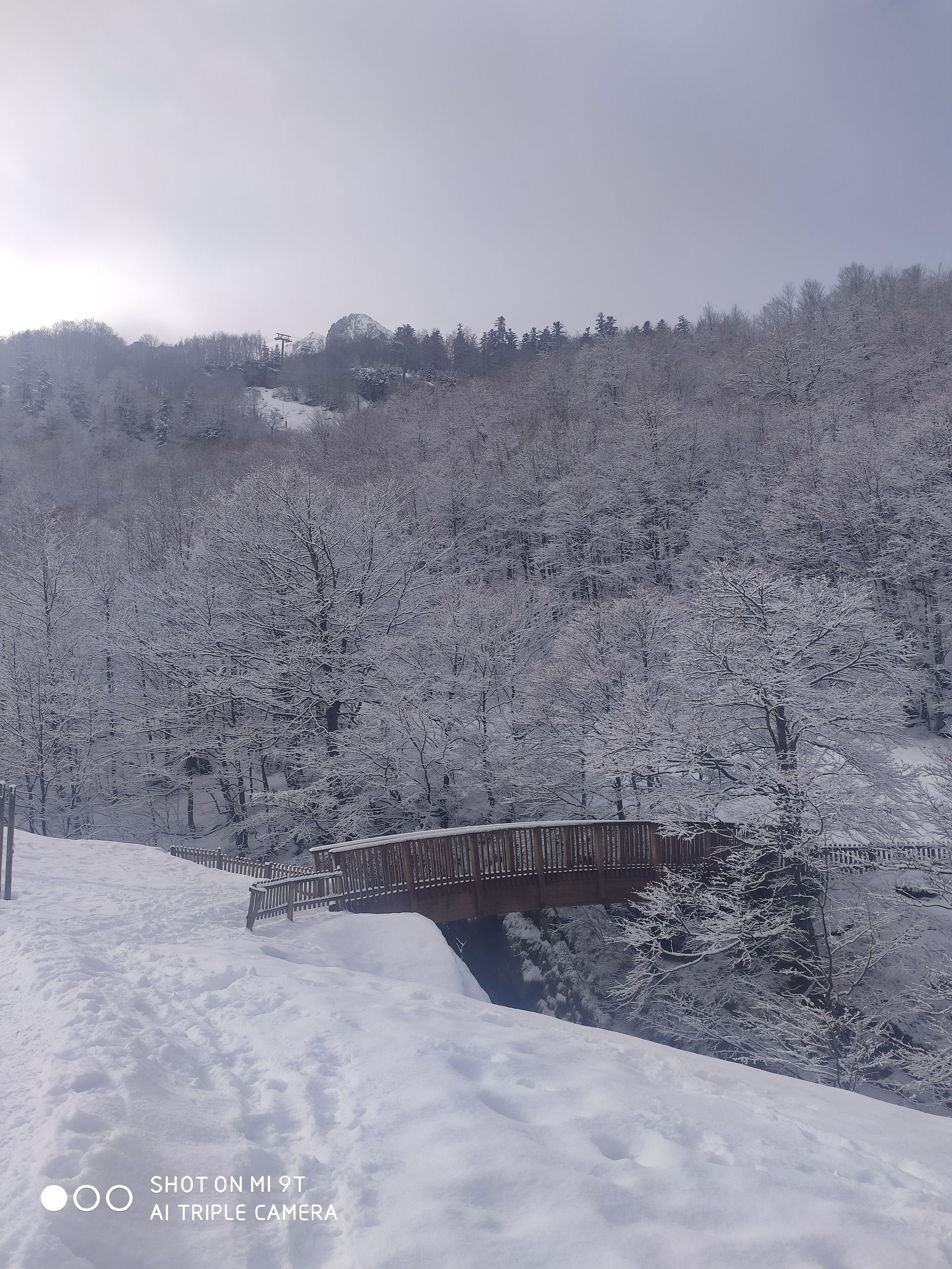 Snow and ski sports