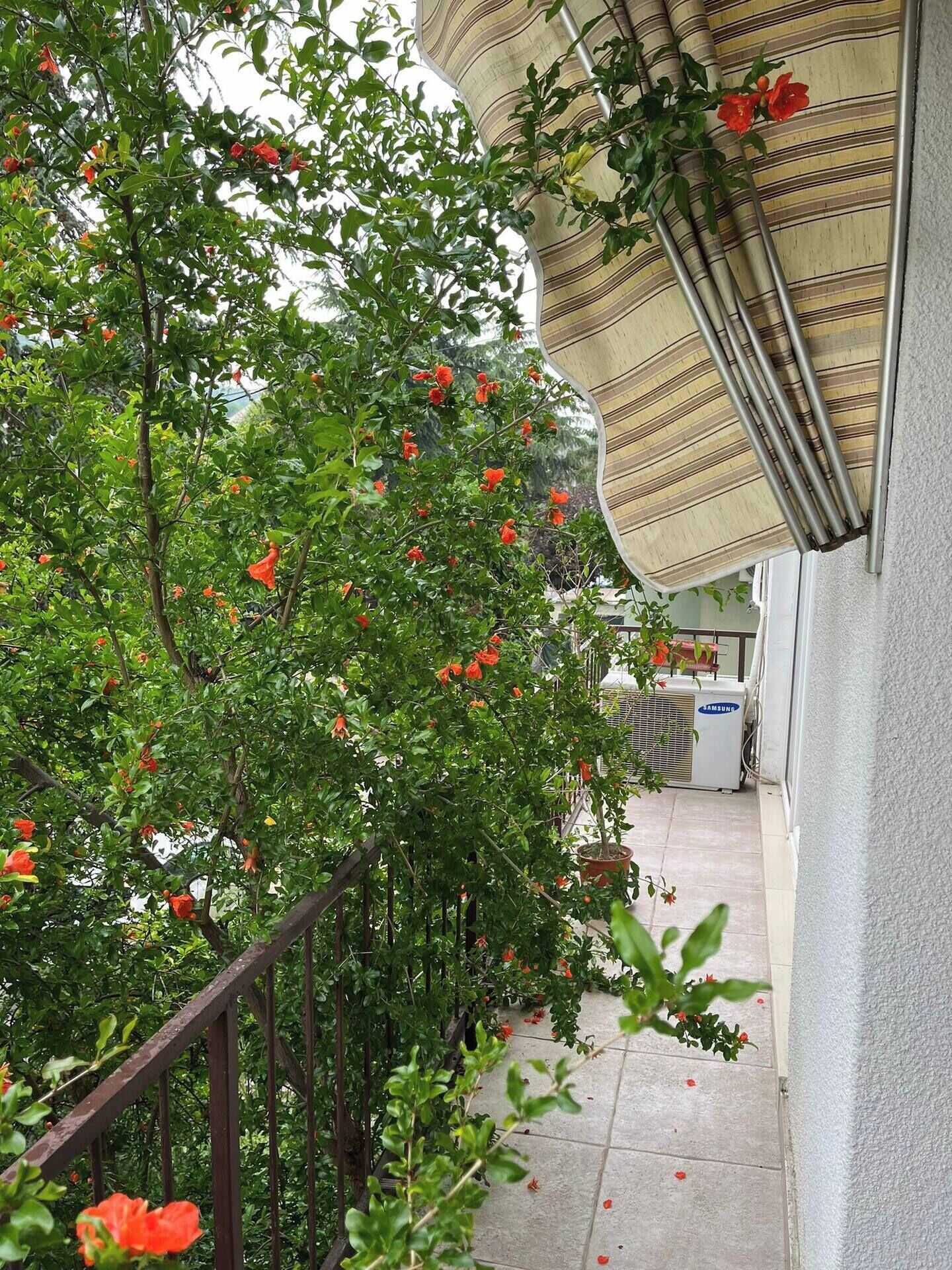 Overnatningsstedets område