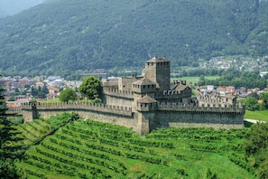 A castle with a stone wall and a tower, surrounded by green fields and a town in the background. - Bellinzona in Centro (Bellinzona)
