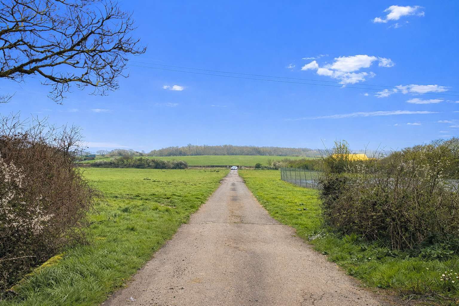 Une route de campagne mène à une voiture blanche, visible au loin, et qui est entourée de champs verdoyants et d’arbres.
