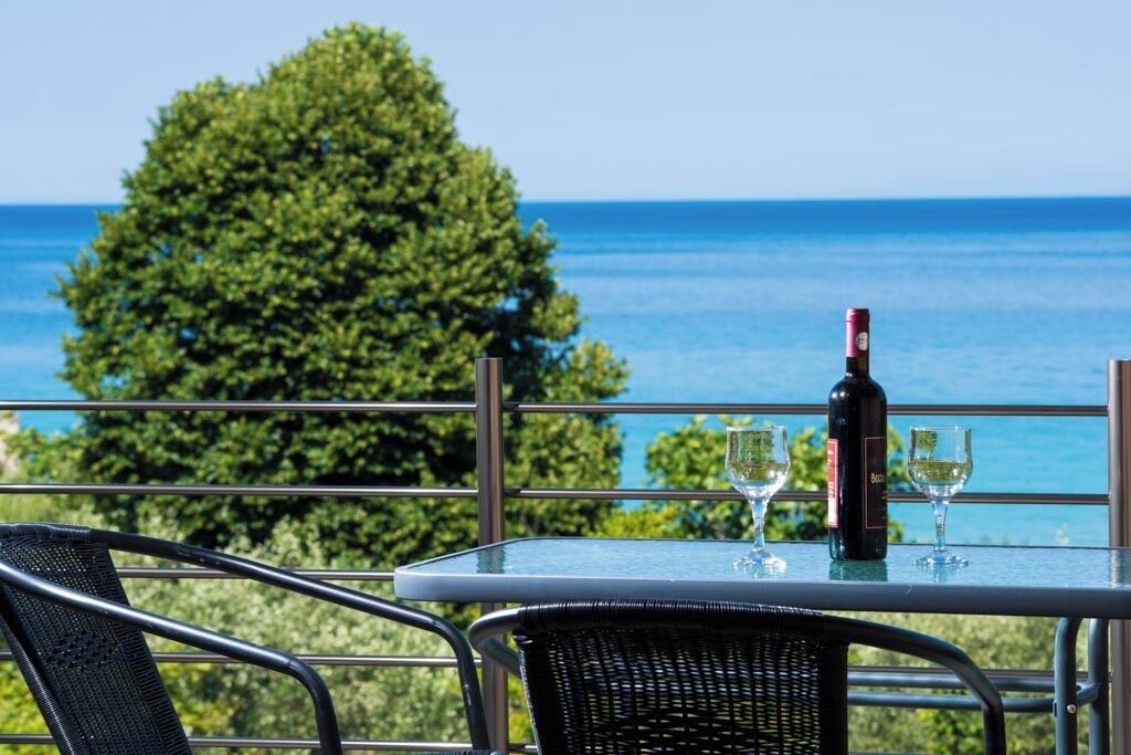 A table with a bottle of wine and two glasses, overlooking a scenic view of the sea and a tree.