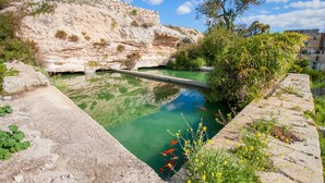 A clear pool with koi fish, surrounded by natural rock formations and vegetation. - Pool SPA - Wellness Villa St Martin (Mgarr)