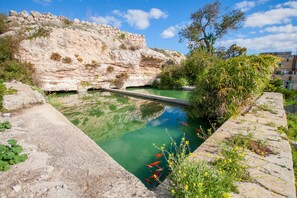 Villa | 5 bedrooms, Internet - Pool SPA - Wellness Villa St Martin (Mgarr)