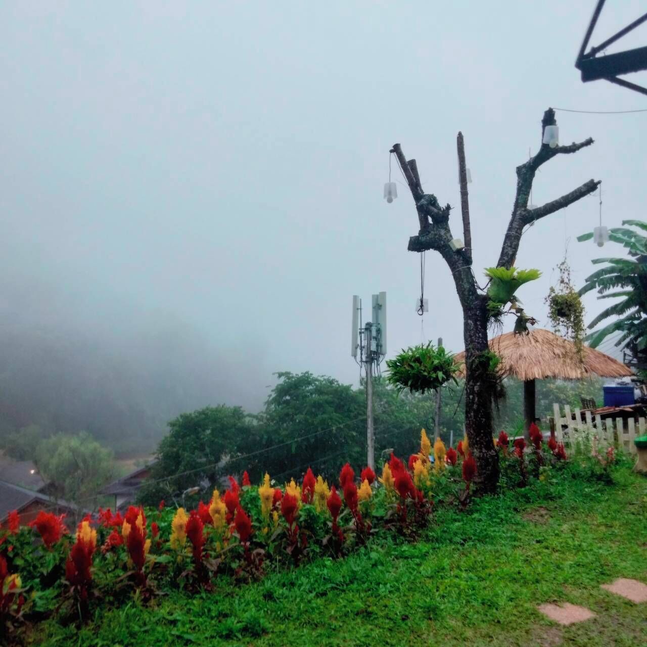 Un jardín con un árbol, una construcción con techo de paja y una fila de flores coloridas.