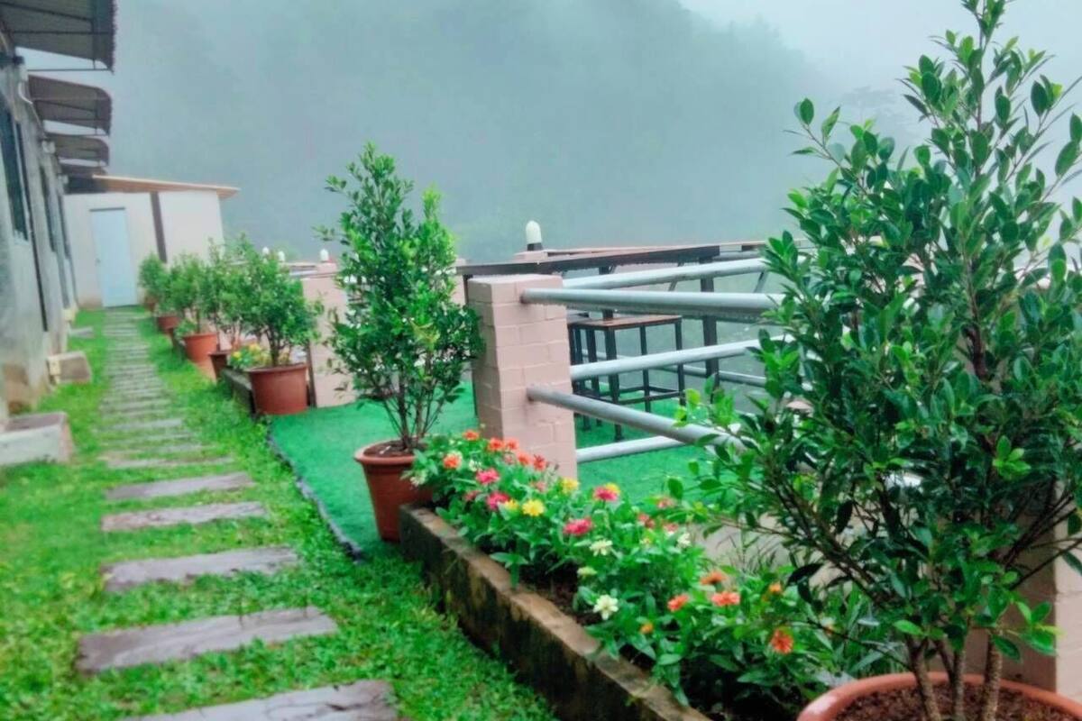 Un sendero bordeado de macetas con plantas y un pequeño jardín con piedras para pisar.