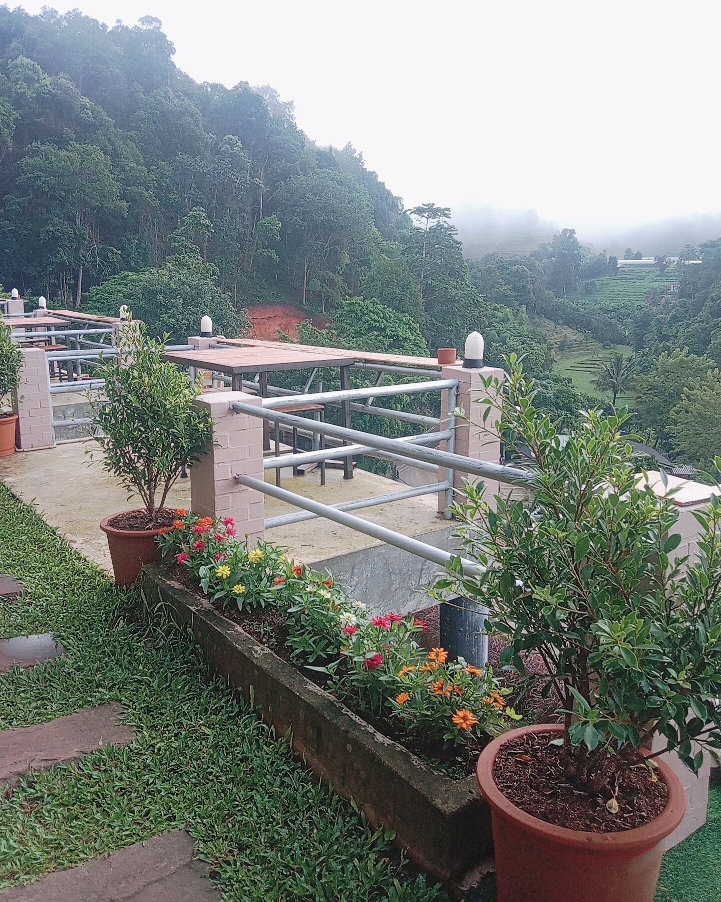 A terrace with potted plants and a view of a lush valley.