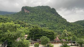 Vue sur les montagnes
