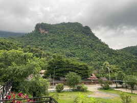 Vistas a la montaña