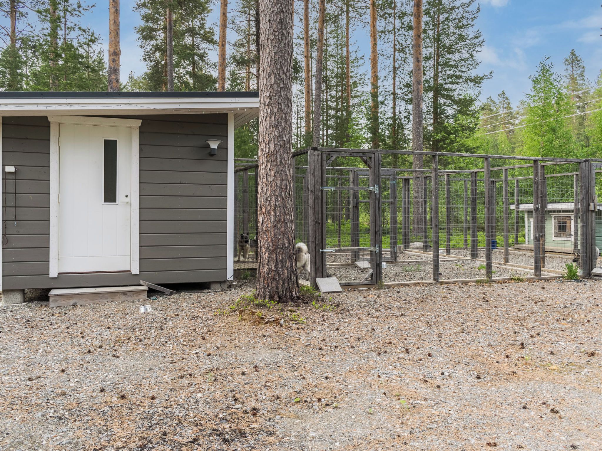A small cabin with a door and a window, surrounded by a wooden fence and trees.