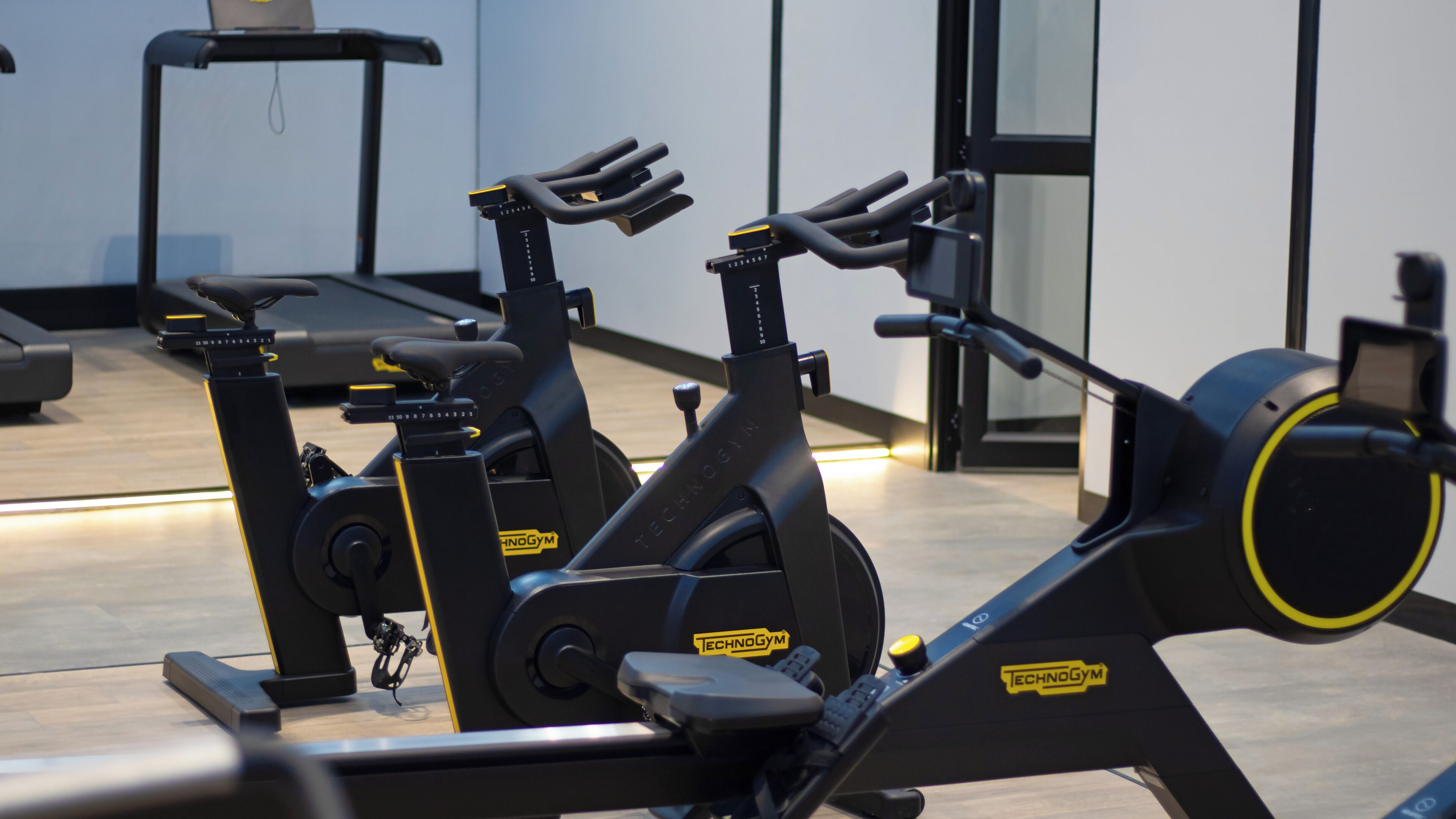 Varias bicicletas estáticas en un gimnasio, con suelo de madera y un banco al fondo.